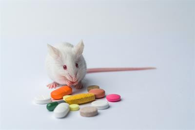 Cover image for research topic "Animal Models in Psychiatry: Translating Animal Behavior to an Improved Understanding and Treatment of Psychiatric Disorders"