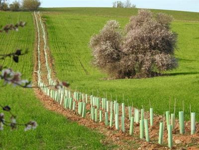 Cover image for research topic "Balancing Biodiversity Conservation and Food Production in European Agroecosystems"