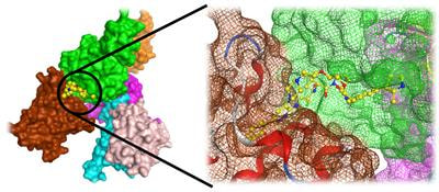 Cover image for research topic "Protein-Protein Interactions: Drug Discovery for the Future"