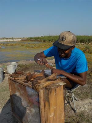 Cover image for research topic "Early Human Colonization of Remote Indian Ocean Islands and its Ecological Impacts"
