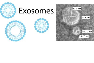 Cover image for research topic "Tumor-derived extracellular vesicles: protocols, models and clinical evidence"