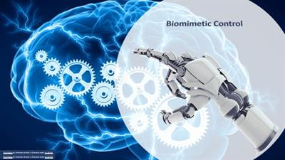 Cover image for research topic "Biomimetic Control Architectures for Robots"