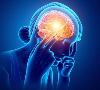 Cover image for research topic "The Impact of Stress on Nucleus Accumbens Function in Motivated Behavior"