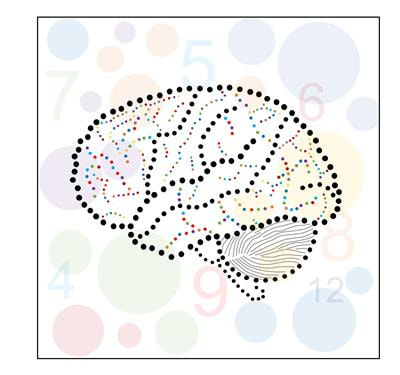 Cover image for research topic "The Functional and Neural Mechanisms of Numerosity Processing: From Perception to Cognition"