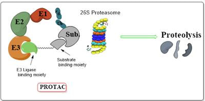 Cover image for research topic "Application of PROTACs as a Novel Strategy for Drug Discovery"