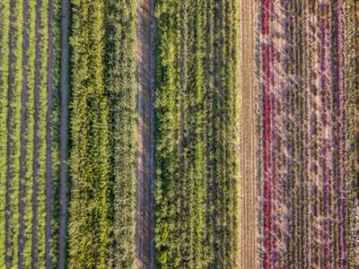 Cover image for research topic "Ecological Nutrient Management as a Pathway to Zero Hunger"