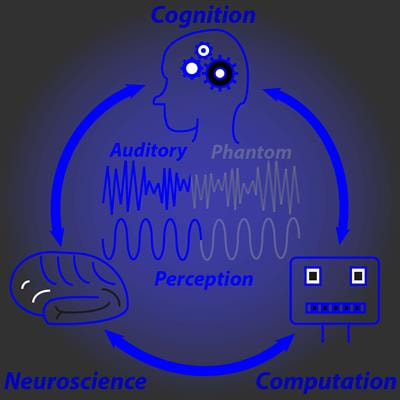 Cover image for research topic "Auditory Perception and Phantom Perception in Brains, Minds and Machines"
