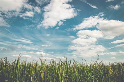 Cover image for research topic "Climate Change, Variability and Sustainable Food Systems"