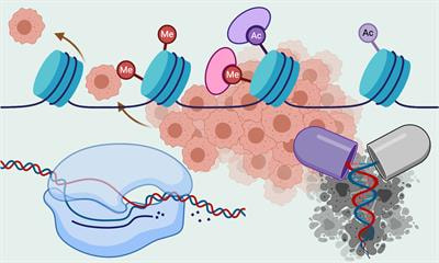 Cover image for research topic "Epigenetic and Transcriptional Dysregulations in Cancer and Therapeutic Opportunities"