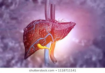 Cover image for research topic "Transplant Oncology of Liver Malignancies"