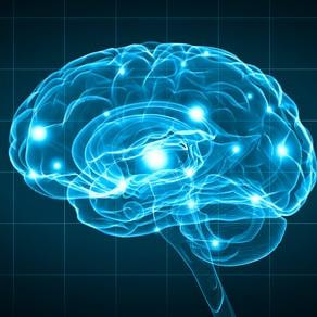 Cover image for research topic "Neuroimaging for the Measurement and Management of Pain"
