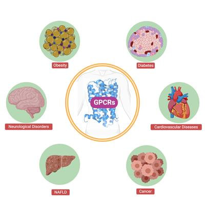 Cover image for research topic "G protein-coupled receptors: Role in metabolic disorders"
