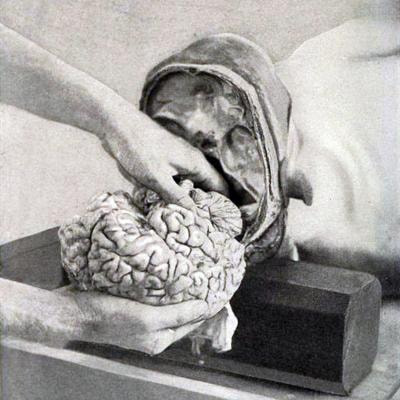 Cover image for research topic "Critical Neuroscience: The context and implications of human brain research"