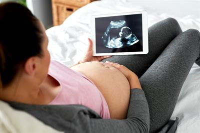 Cover image for research topic "Maternal Diet and Offspring Health"