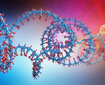 Cover image for research topic "Transcription Factors and Regulation of Transcriptional Programs in Fungi"