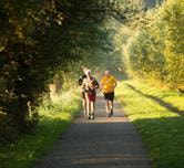 Cover image for research topic "Exercise as a Countermeasure to Human Aging, Volume II"