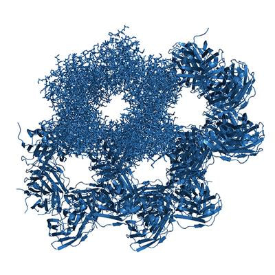 Cover image for research topic "The Hierarchical Organization of Supramolecular Systems: From Fundamentals to Biomedical Applications"