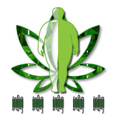 Cover image for research topic "Multifaceted Cannabinoids: Regulators of Normal and Pathological Function in Metabolic and Endocrine Organs"