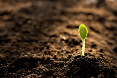 Cover image for research topic "Climate Change and Anthropogenic Impacts on Soil Organic Matter"