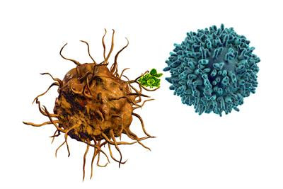 Cover image for research topic "Novel Insights Into the Immune Mechanisms Associated With the Pathogenesis of Chagas Disease"