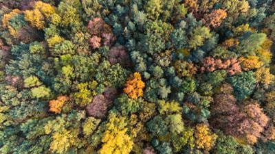 Cover image for research topic "Greenhouse Gas Emissions and Terrestrial Ecosystems"