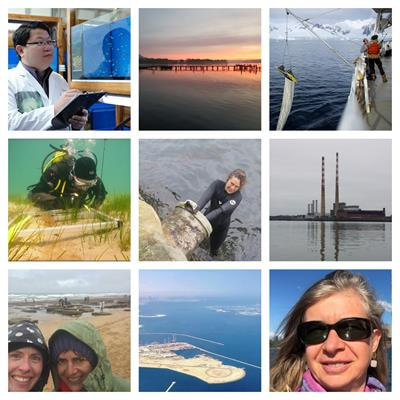 Cover image for research topic "Marine Pollution - Emerging Issues and Challenges"