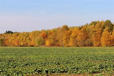 Cover image for research topic "Agroforestry, Food Sovereignty and Value Chains for Sustainable Food Systems"