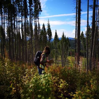 Cover image for research topic "Retaining Ecosystem Legacies in Forest Management: Effects on Forest Structures and Functions"
