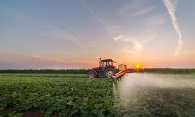 Cover image for research topic "Exposure Pathways, Characterization and Risk Assessment of Chemical Contaminants in the Food Chain"