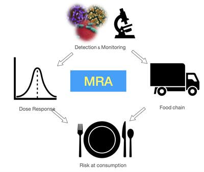 Cover image for research topic "Technological Advances in Microbiological Risk Assessment"
