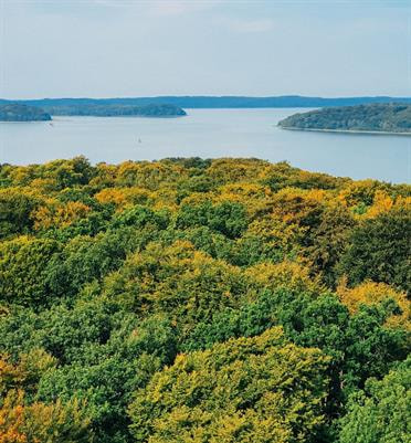 Cover image for research topic "Understanding Patterns and Mechanisms of Forest Canopy Diversity and Ecosystem Functions in a Changing World"