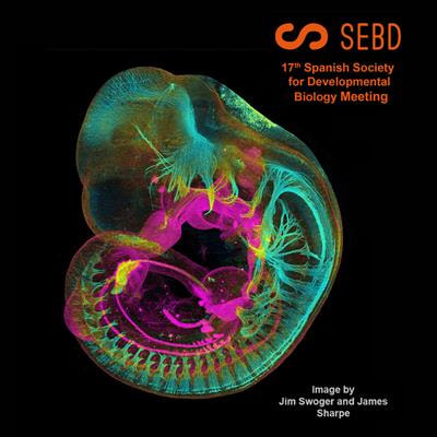 Cover image for research topic "17th Edition of the Spanish Society for Developmental Biology Meeting: New Trends in Developmental Biology"