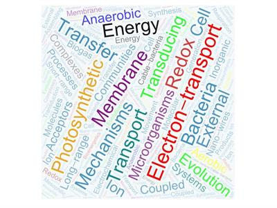 Cover image for research topic "Microbial Bioenergetics"