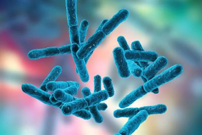 Cover image for research topic "Effects of Probiotics and Prebiotics on Gut Pathogens and Toxins"
