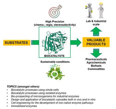 Cover image for research topic "Recent Advances in Biocatalysis:  Focusing on Applications of these Processes"