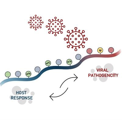 Cover image for research topic "Viruses and Epitranscriptomes: Regulation of Infection and Antiviral Response"