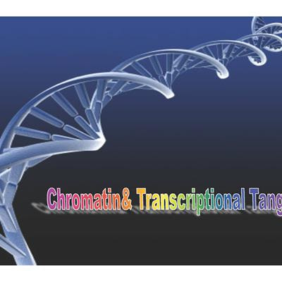 Cover image for research topic "Chromatin & Transcriptional Tango on the Immune Dance Floor"
