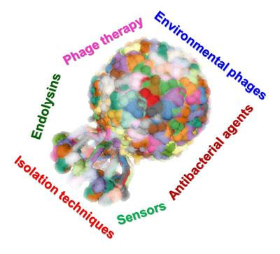 Cover image for research topic "Bacteriophages Isolation From The Environment And Their Antimicrobial Therapeutic Potential, Volume 2"