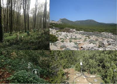 Cover image for research topic "Terrestrial Ecosystem Nitrogen Fluxes via the Atmosphere-Land System"