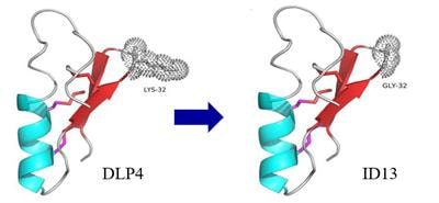 Cover image for research topic "Antimicrobial Peptides: Molecular Design, Structure Function Relationship and Biosynthesis Optimization"