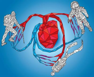 Cover image for research topic "Cardio-vascular Dysfunction and Physiological Manifestations Induced by Environmental Conditions, Volume II"