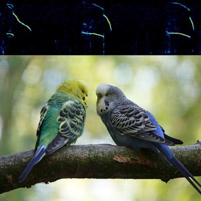 Cover image for research topic "Acoustic Communication Analysis for Understanding Animal Behavior"
