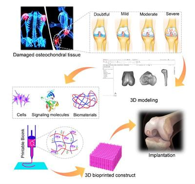 Cover image for research topic "Biofabrication and Biopolymeric Materials Innovation for Musculoskeletal Tissue Regeneration"