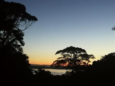 Cover image for research topic "Environmental Gradients and Neotropical Forest Dynamics Under Climate Change"