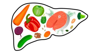 Cover image for research topic "The Role of Nutrition in the Management of Liver and Associated Diseases"