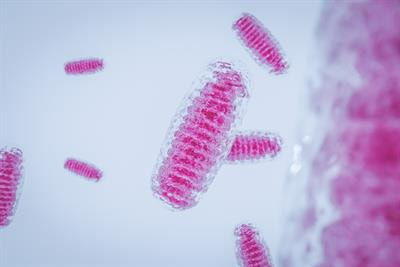 Cover image for research topic "Mitochondrial DNA and its Role in Toxicity"