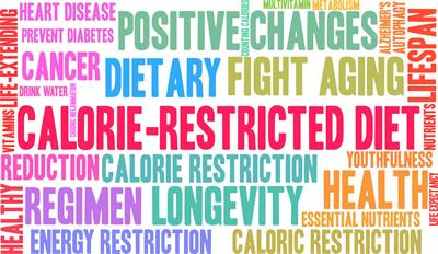 Cover image for research topic "Dietary Strategies for Healthy Aging – Caloric Restriction and Beyond"