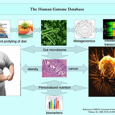 Cover image for research topic "The Human Gutome: Nutrigenomics of Host-Microbiome Interactions"