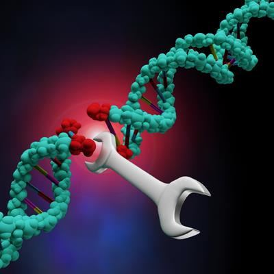 Cover image for research topic "Protecting the Code: DNA Double-Strand Break Repair Pathway Choice"