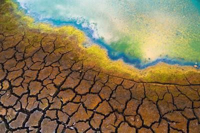Cover image for research topic "Persistent Organic Pollutants in Soil and Sediments"